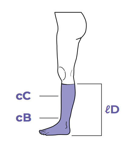 Ladies Active Leisure Compression Socks - 20% off while stock lasts - Running, Gym, Walking