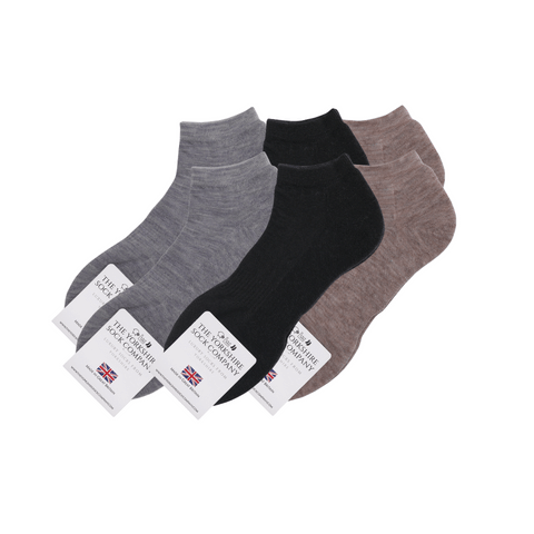 Ashville Pro Merino Womens Trainer Sock - Cushioned Sole - 6 Mixed Pair Bundle