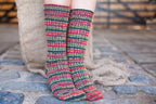 HollyBerry_WYS_Wool_Socks_live